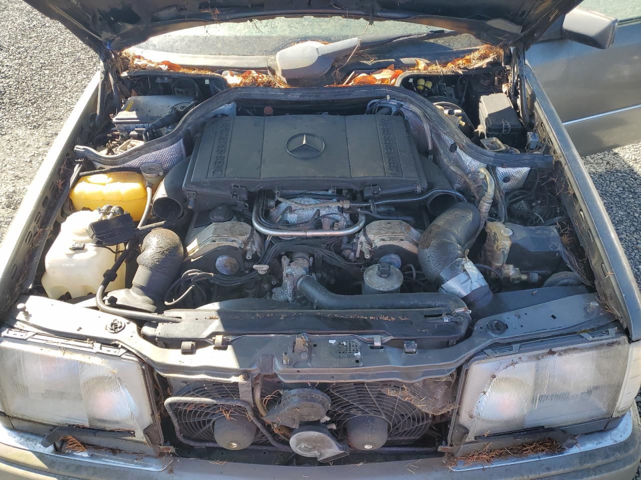 1994 Mercedes-Benz E 420 VIN: WDBEA34E8RC018072 Lot: 80380515