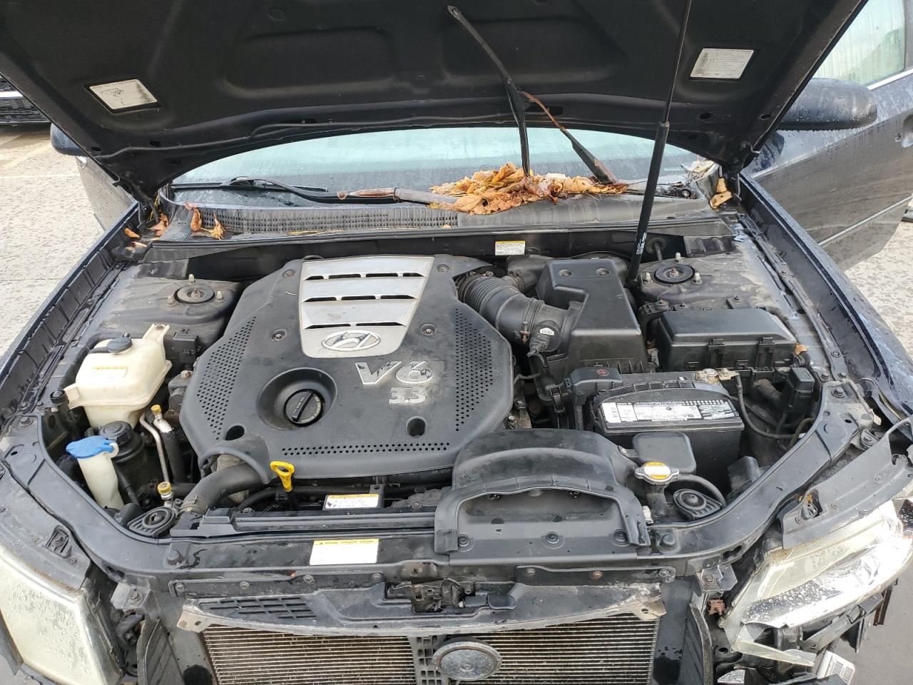 2006 Hyundai Sonata Gls VIN: 5NPEU46F06H075869 Lot: 81665785