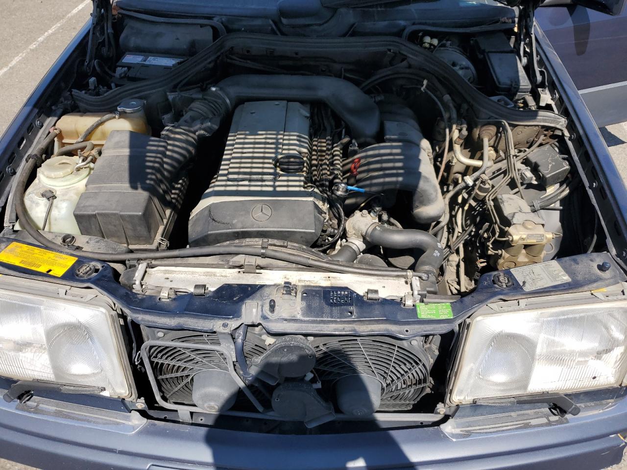 1994 Mercedes-Benz E 320 VIN: WDBEA32E9RC034865 Lot: 80924675