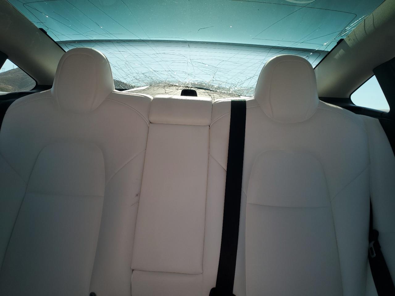 2020 Tesla Model 3 VIN: 5YJ3E1EA9LF808410 Lot: 71662095