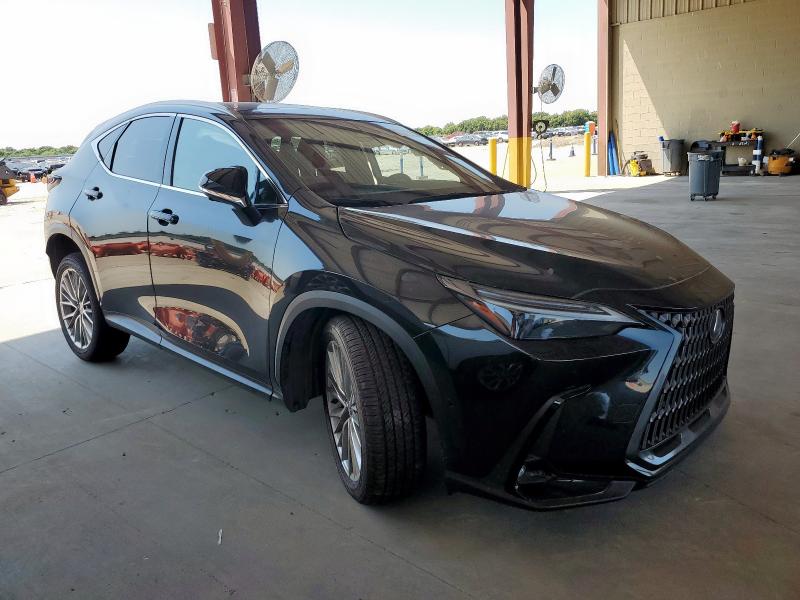 LEXUS NX 350H BA 2024 Серый