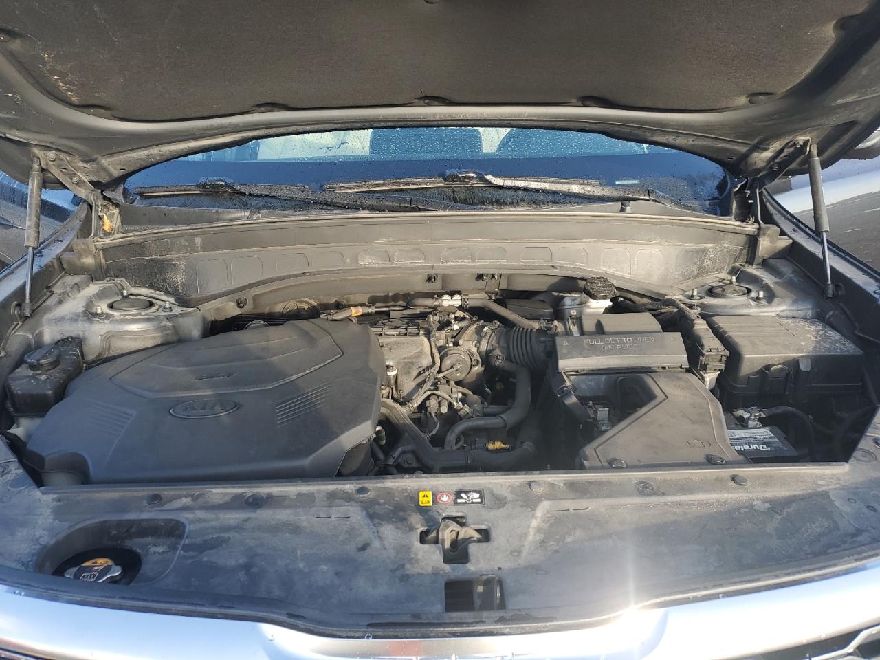 2020 Kia Telluride S VIN: 5XYP64HC7LG024359 Lot: 84208465