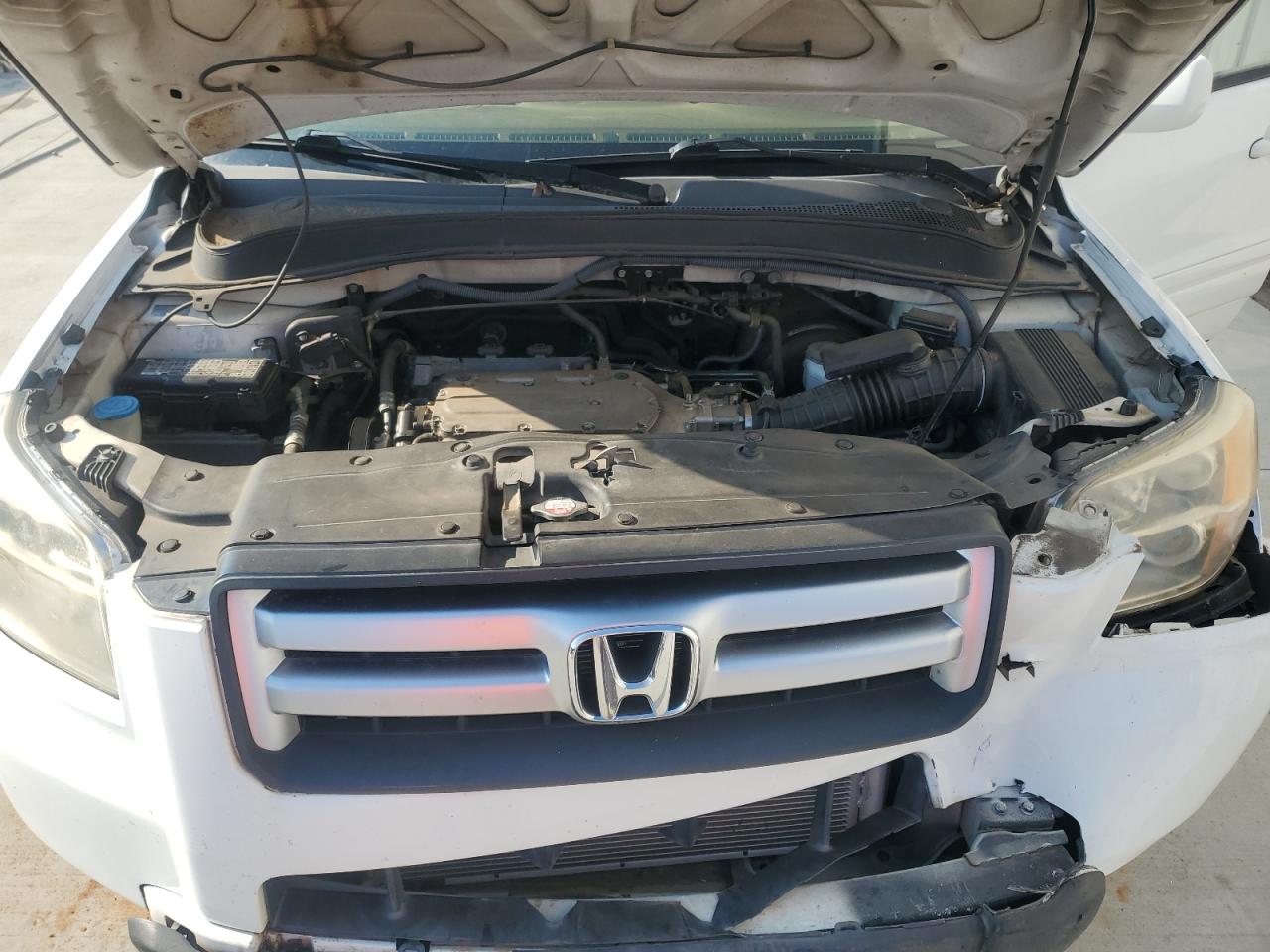 2007 Honda Pilot Exl VIN: 5FNYF28697B005635 Lot: 71771675