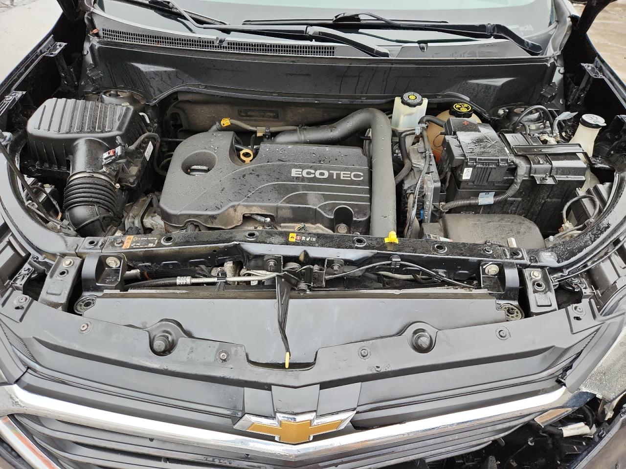 2019 Chevrolet Equinox Lt VIN: 3GNAXUEV5KL109885 Lot: 81625125