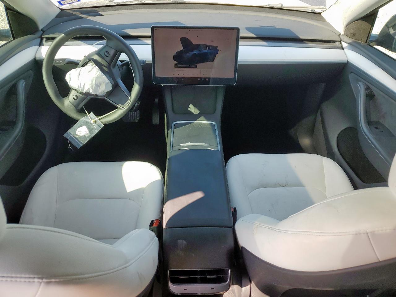 2024 Tesla Model Y VIN: 7SAYGDEE0RA217265 Lot: 81842945