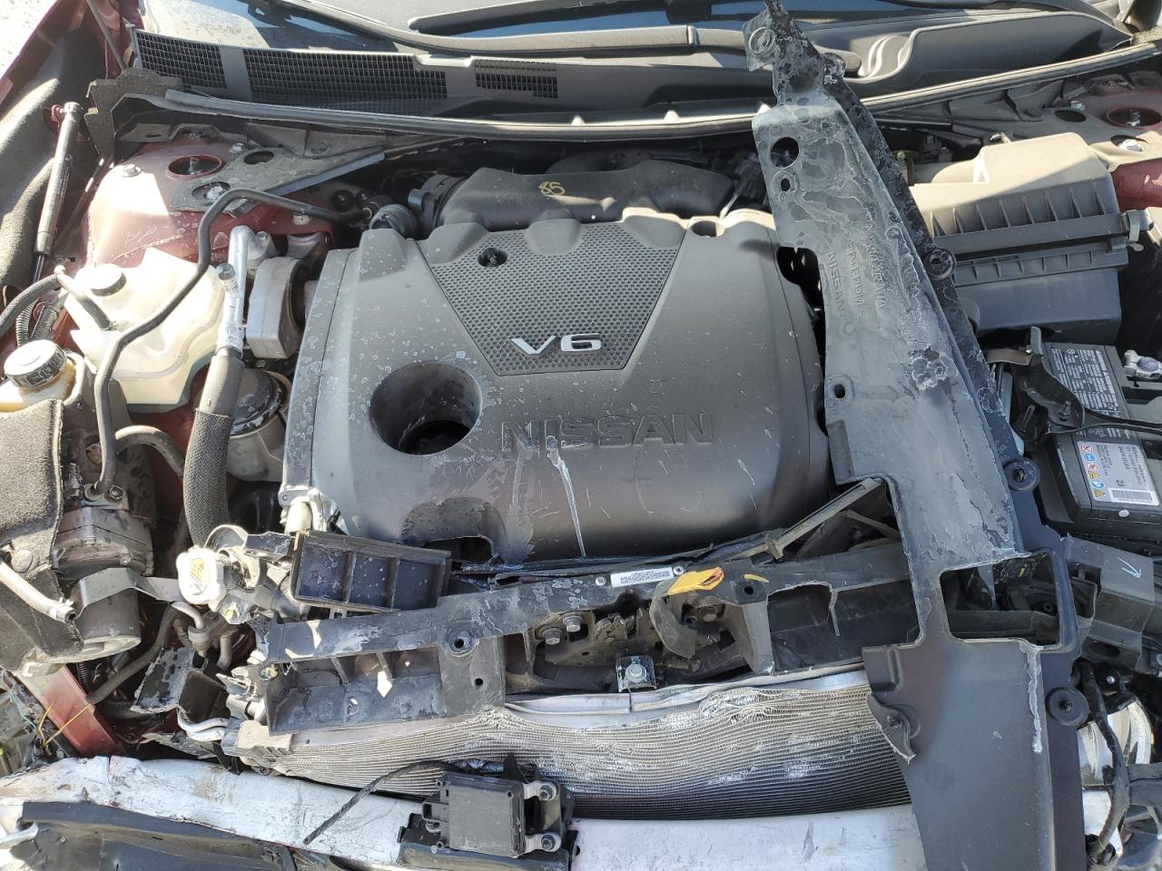 2023 Nissan Maxima Sv VIN: 1N4AA6CV7PC513899 Lot: 81230605