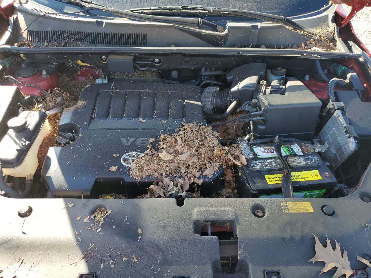 2008 Toyota Rav4 Limited VIN: JTMBK31V985056502 Lot: 71128775