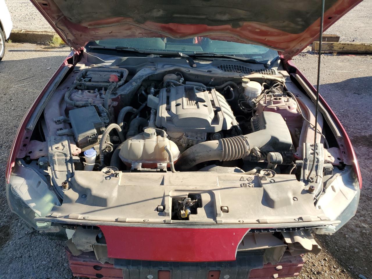 2020 Ford Mustang VIN: 1FA6P8THXL5191218 Lot: 83859295