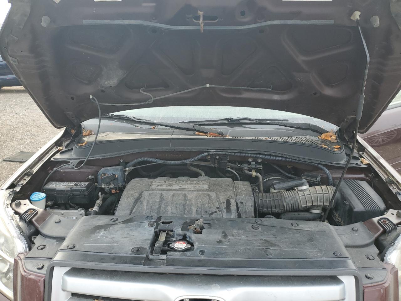 2007 Honda Pilot Lx VIN: 2HKYF18137H537755 Lot: 84706365