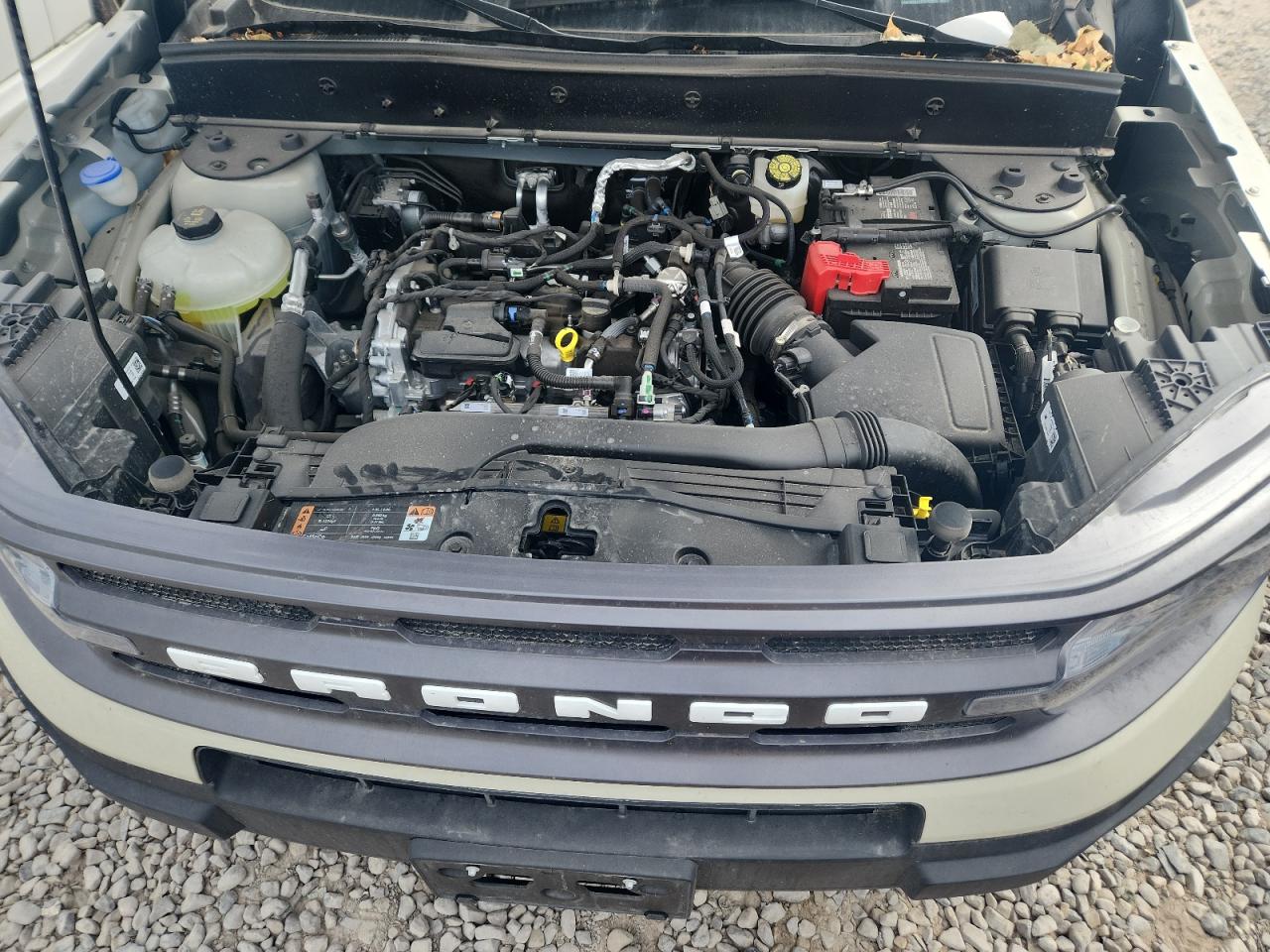 2024 Ford Bronco Sport Big Bend VIN: 3FMCR9B64RRF52845 Lot: 80901225