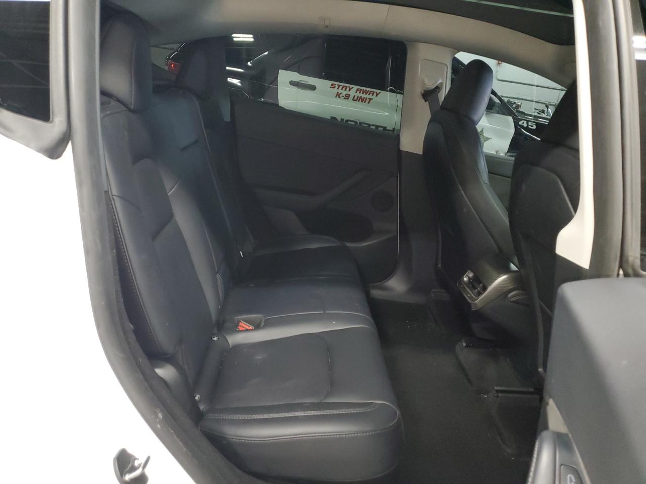 2023 Tesla Model Y VIN: 7SAYGDEF5PF807728 Lot: 81274505