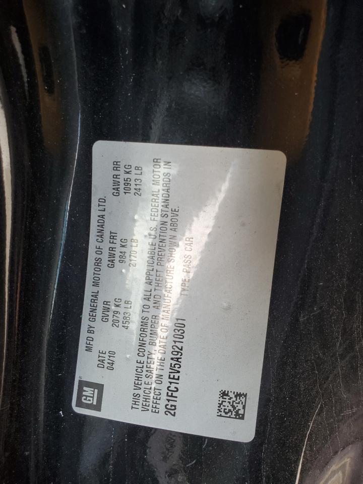 2010 Chevrolet Camaro Lt VIN: 2G1FC1EV5A9210301 Lot: 81569355