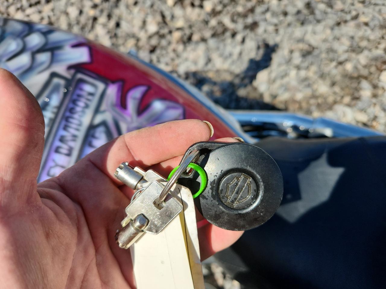 2004 Harley-Davidson Vrsca VIN: 1HD1HAZ124K807062 Lot: 80537945