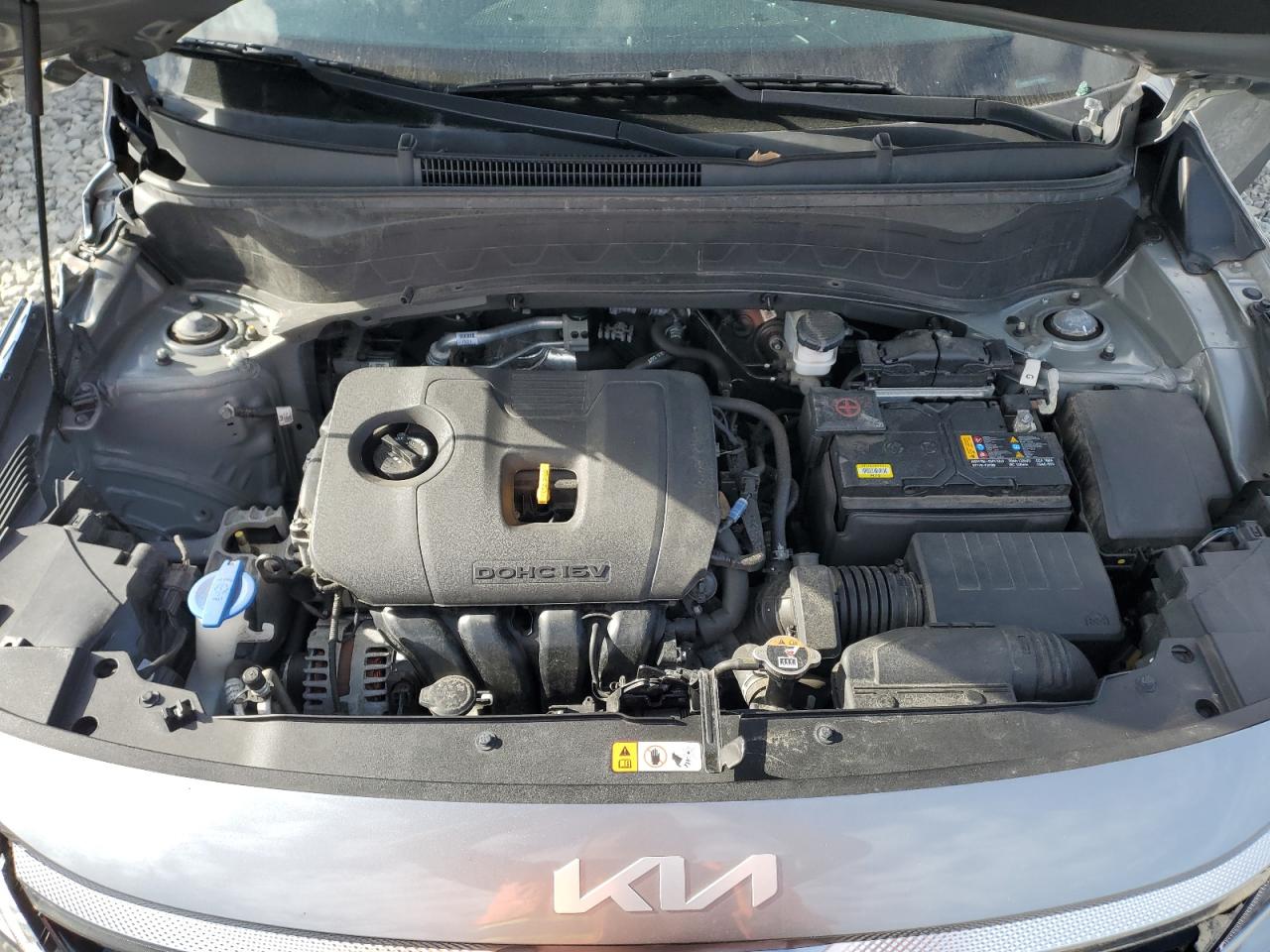 2023 Kia Seltos Ex VIN: KNDERCAA7P7369556 Lot: 80794555