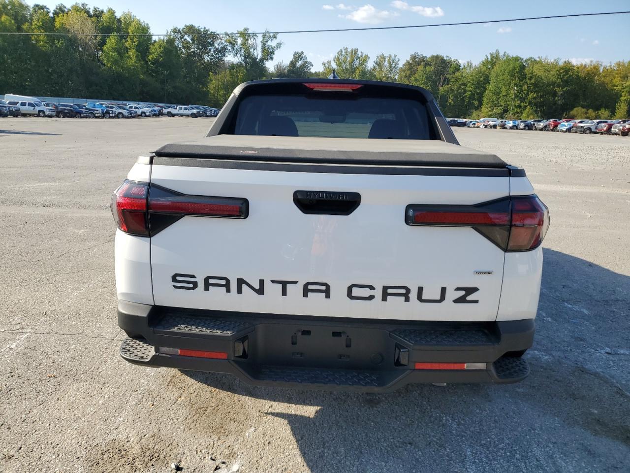 2024 Hyundai Santa Cruz Sel VIN: 5NTJBDDE5RH103900 Lot: 65919745