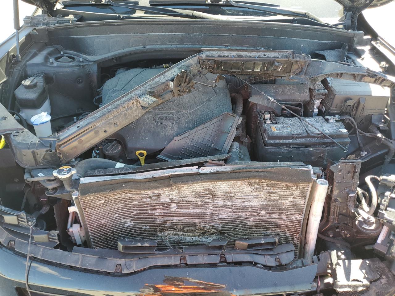 2021 Kia Telluride Sx VIN: 5XYP5DHC5MG189489 Lot: 81862055