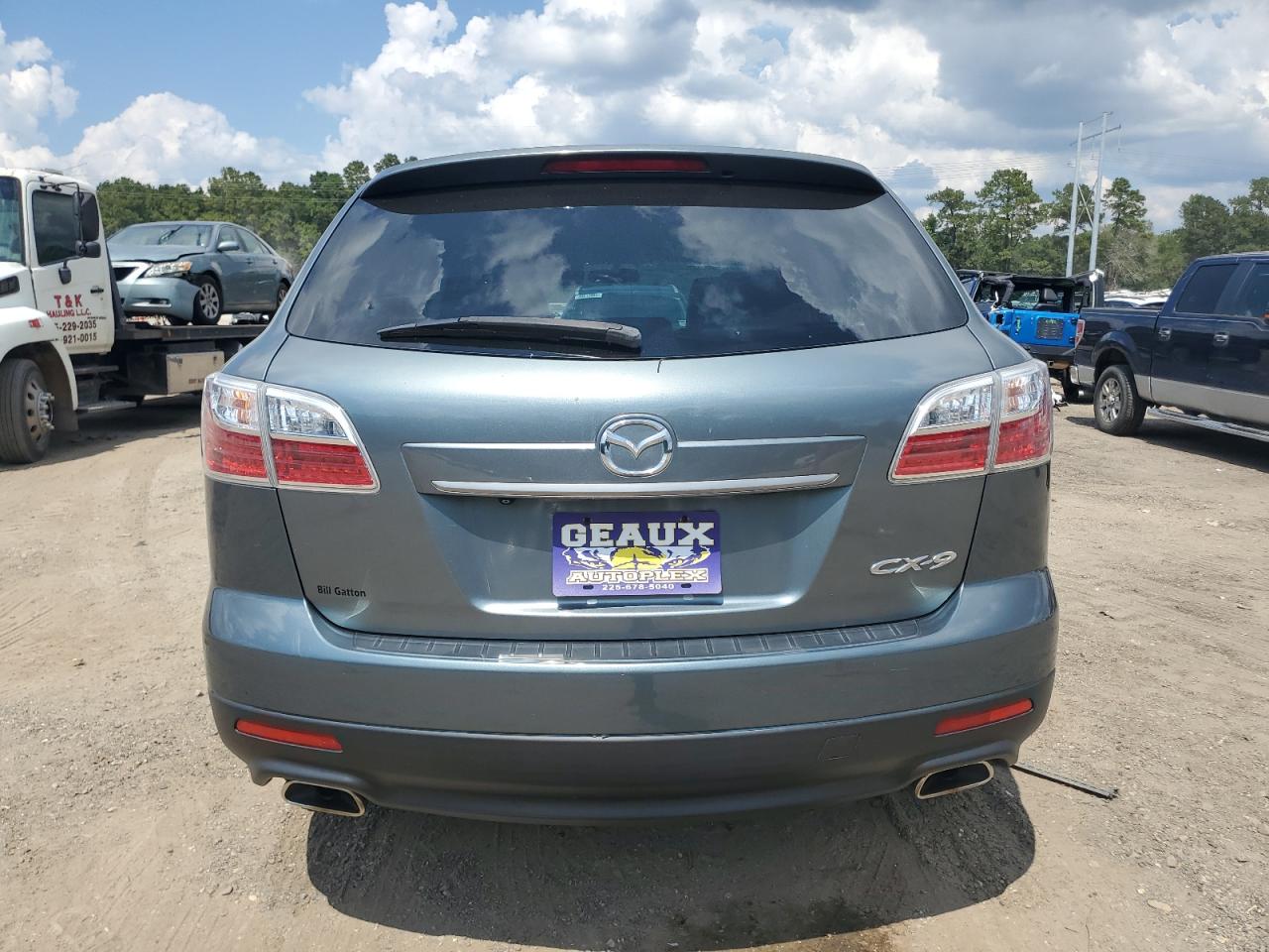 2010 Mazda Cx-9 VIN: JM3TB2MA2A0228273 Lot: 80212735