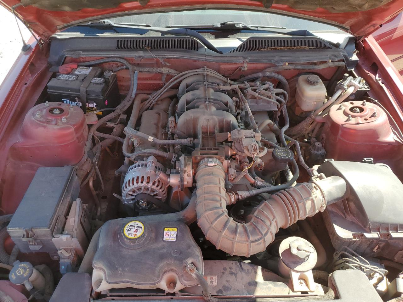 2008 Ford Mustang VIN: 1ZVHT84N985188107 Lot: 81092035