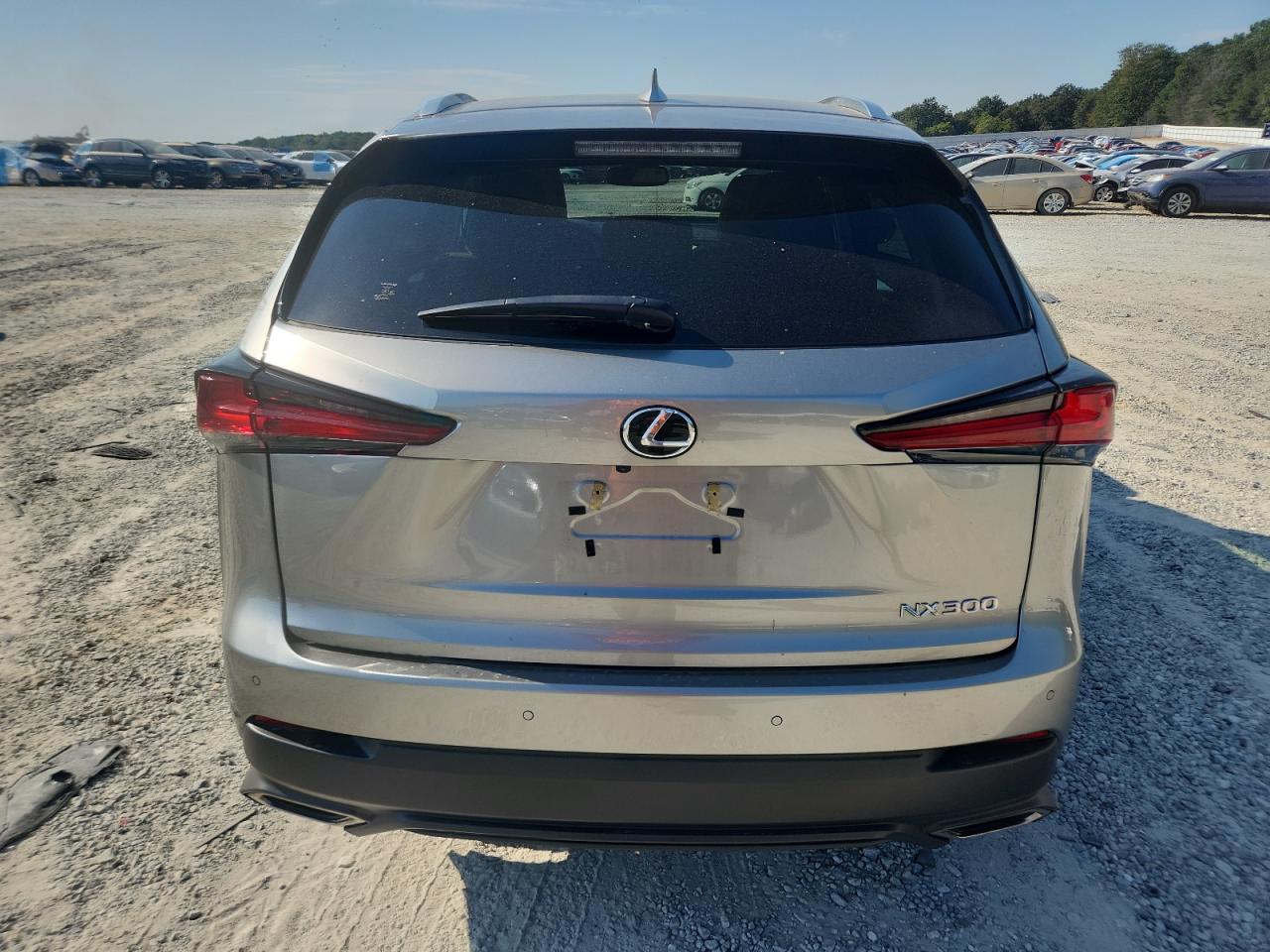 2021 Lexus Nx 300 Base VIN: JTJDARBZ4M2190777 Lot: 80400345
