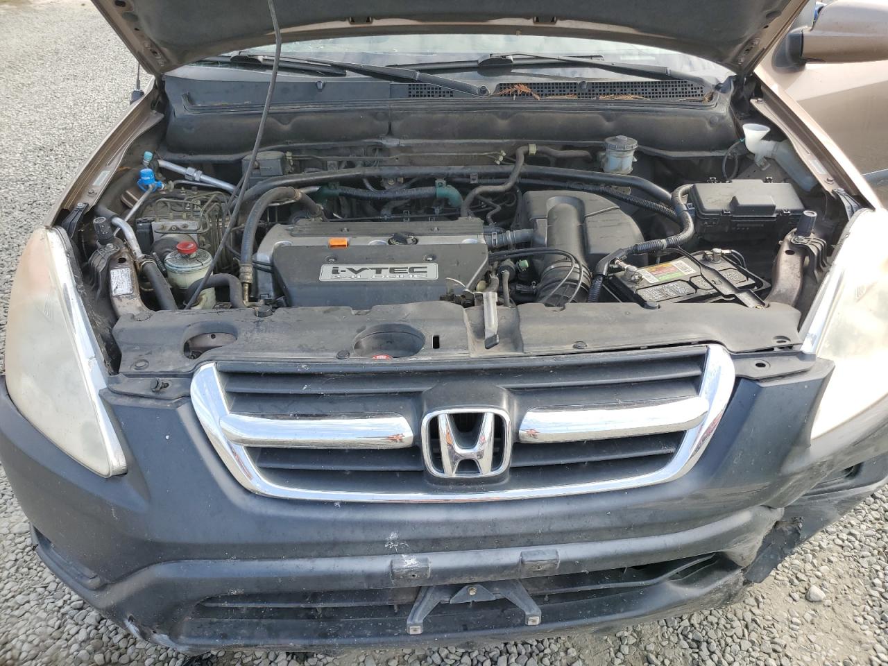 2002 Honda Cr-V Ex VIN: JHLRD78802C062856 Lot: 71202735