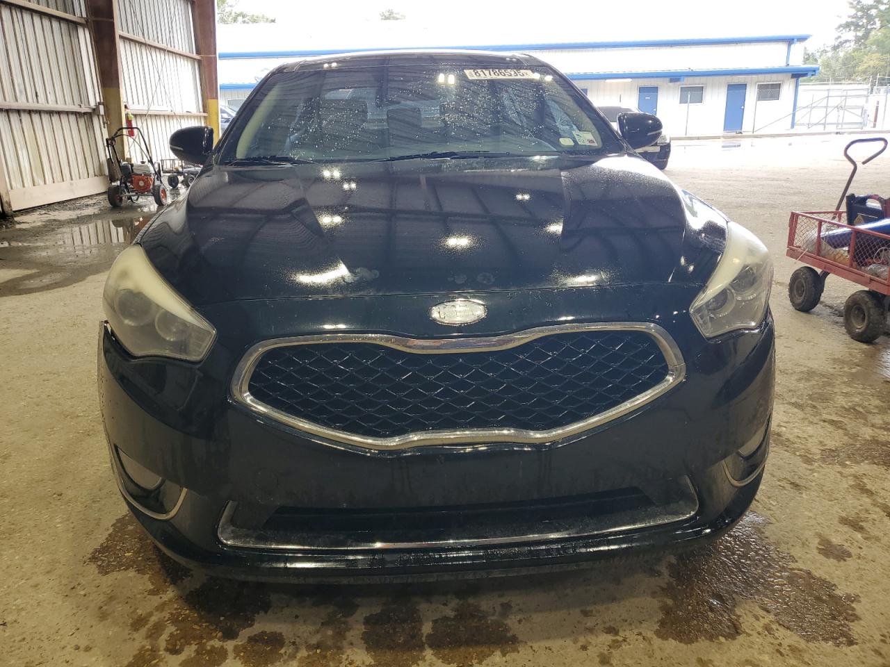 2015 Kia Cadenza Premium VIN: KNALN4D77F5182060 Lot: 81786595