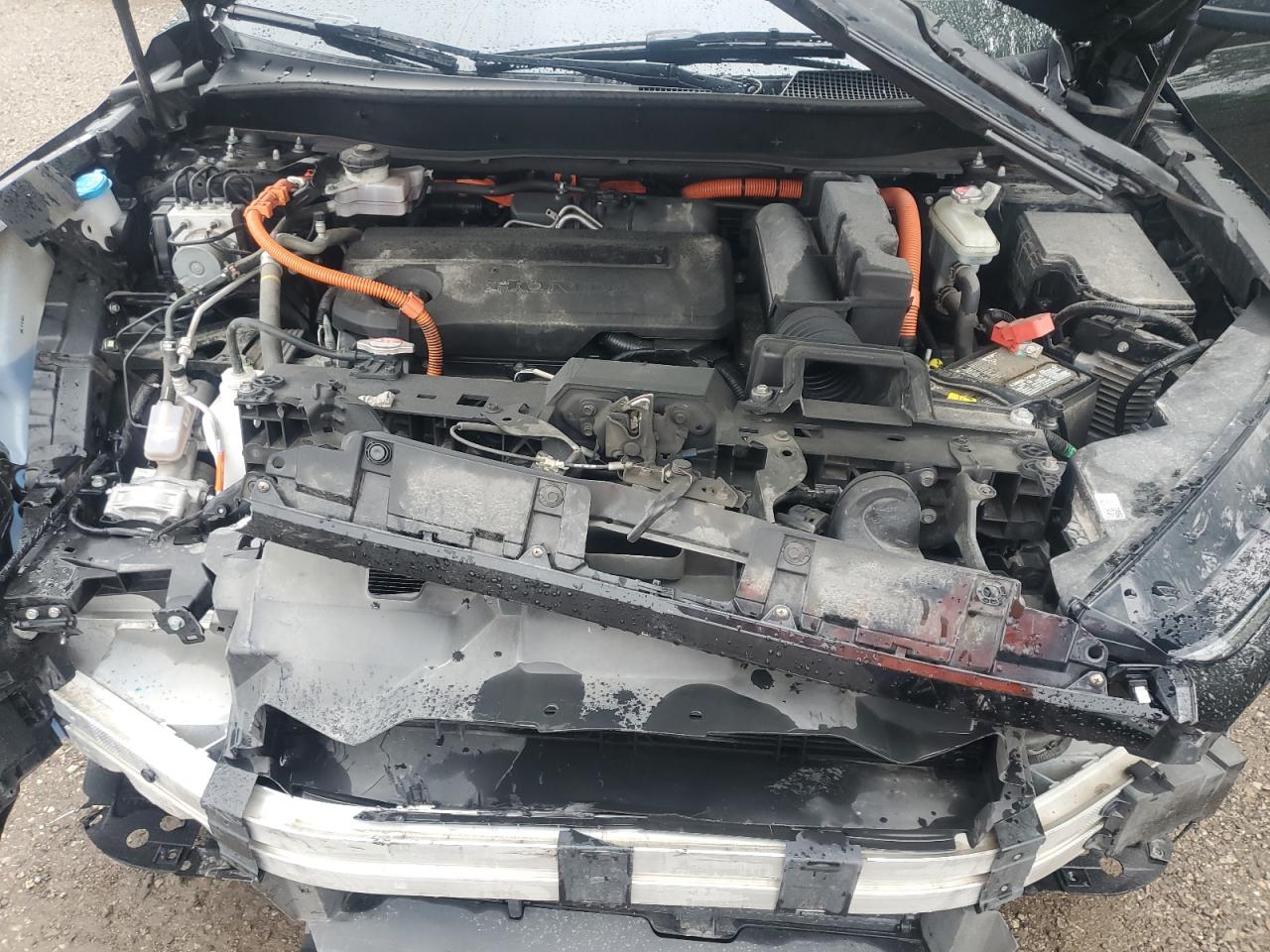 2024 Honda Cr-V Exl VIN: 2HKRS6H74RH204113 Lot: 81650895