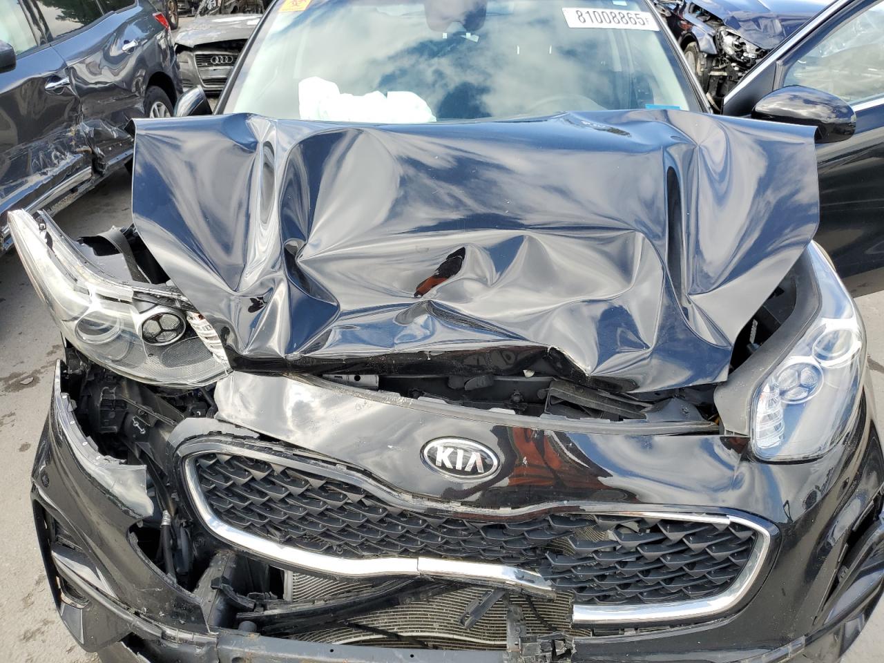 2020 Kia Sportage Lx VIN: KNDPM3AC4L7776009 Lot: 81008865