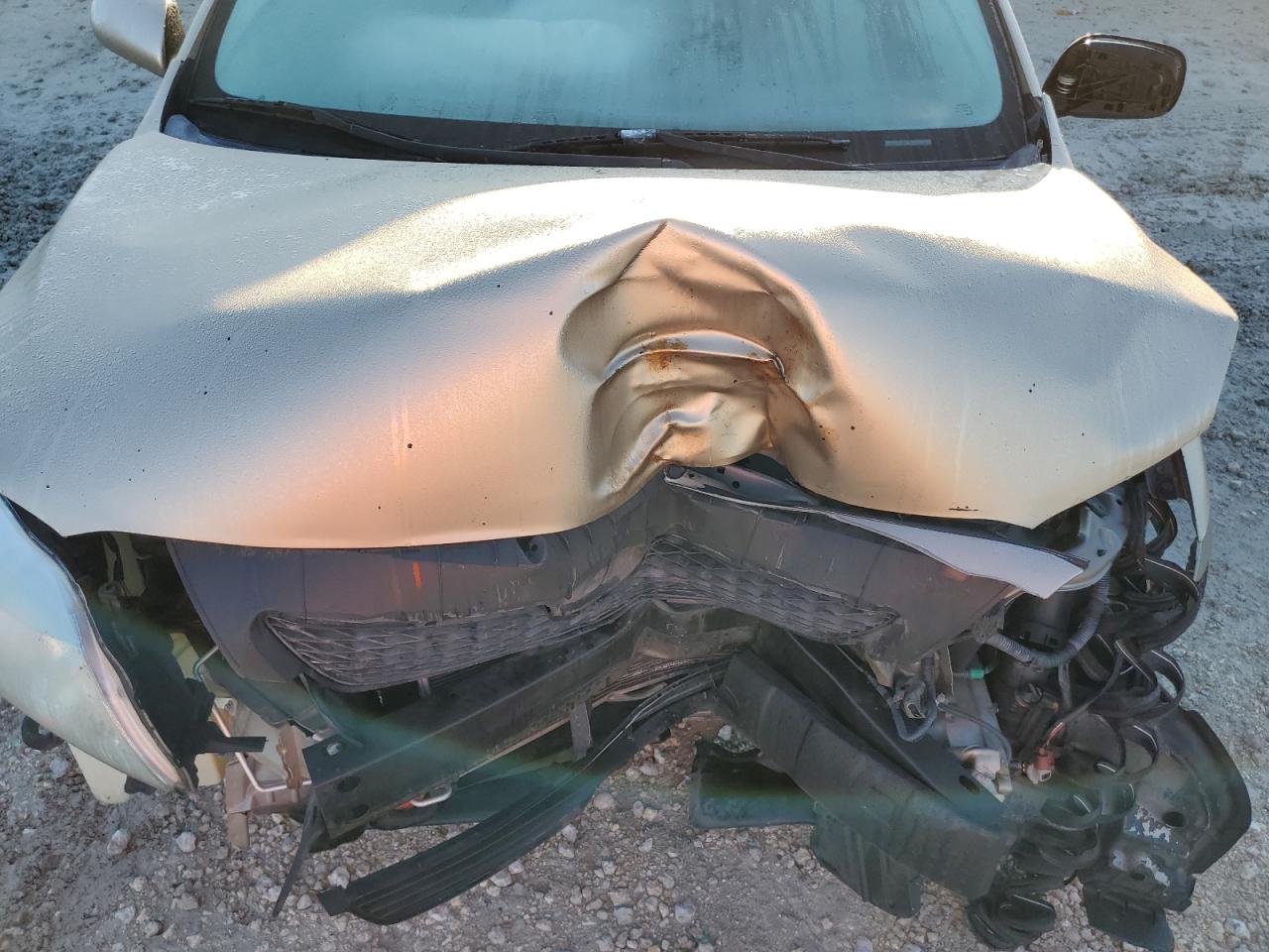 2010 Toyota Corolla Base VIN: 1NXBU4EE5AZ223312 Lot: 81797915