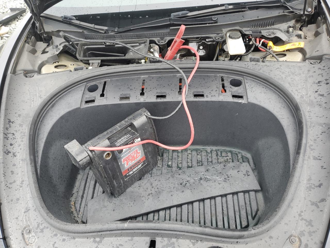 2024 Tesla Model 3 VIN: 5YJ3E1EA4RF769573 Lot: 81865805