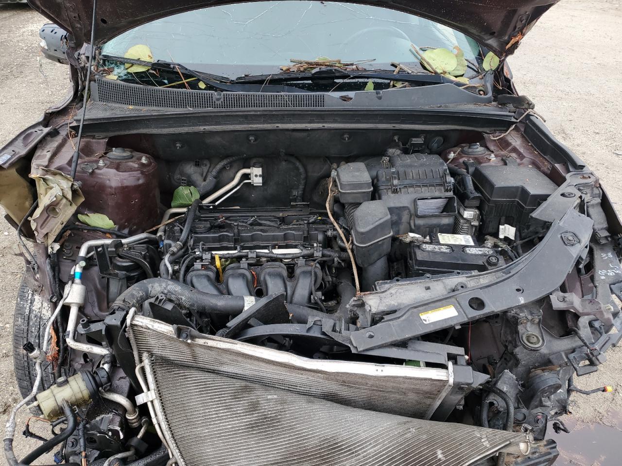 2011 Kia Sorento Base VIN: 5XYKT3A10BG091342 Lot: 81336975