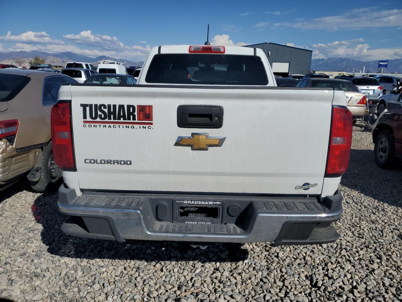 2019 Chevrolet Colorado VIN: 1GCHTBEA9K1207734 Lot: 81830955