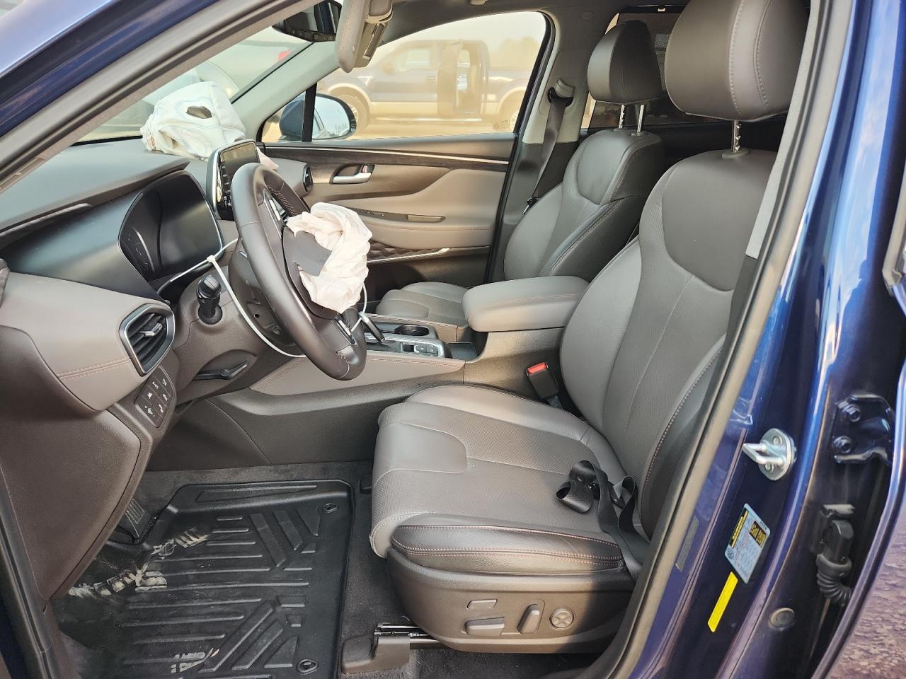 2020 Hyundai Santa Fe Limited VIN: 5NMS5CAD4LH281916 Lot: 81650855