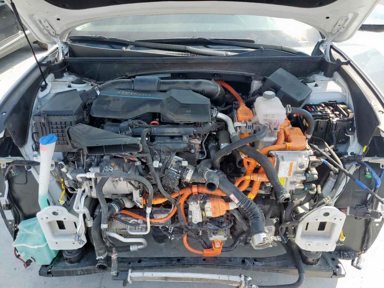 2024 Hyundai Tucson Blue VIN: KM8JBCD15RU227883 Lot: 80573695