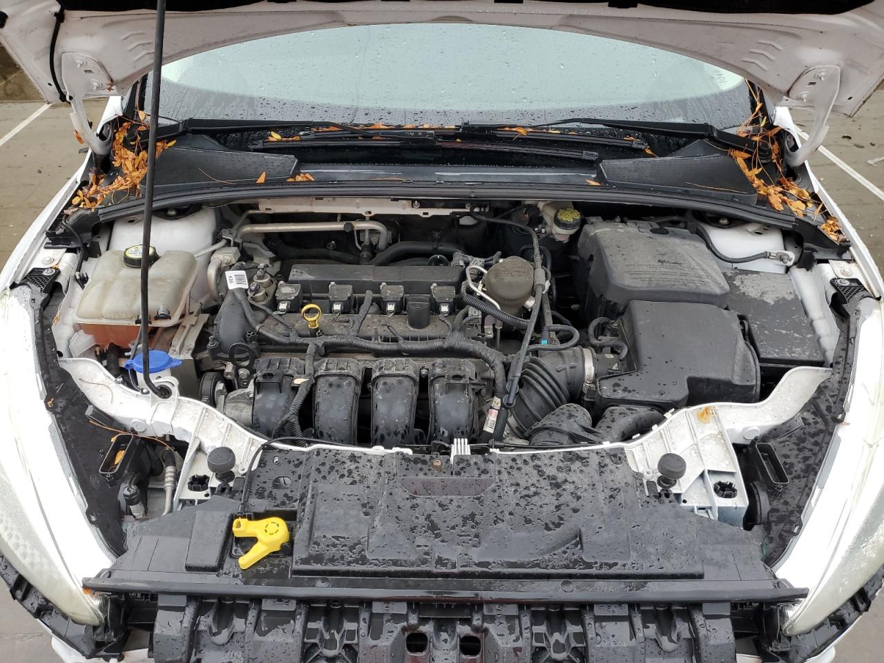 2015 Ford Focus Se VIN: 1FADP3F27FL301854 Lot: 80965215