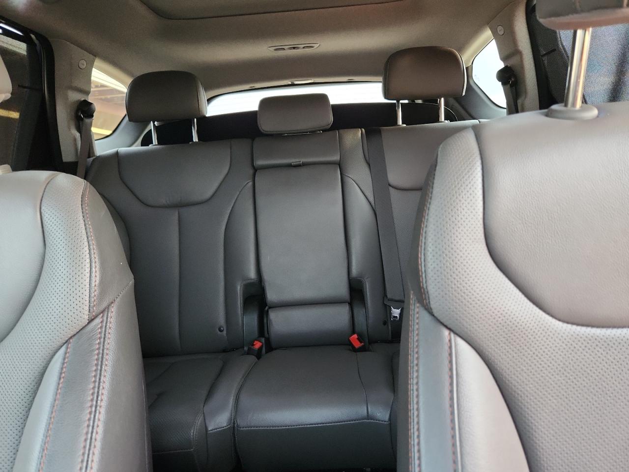 2020 Hyundai Santa Fe Limited VIN: 5NMS5CAD4LH281916 Lot: 81650855