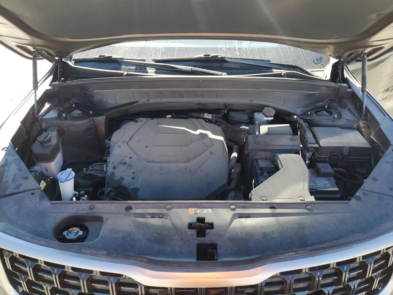 2023 Kia Telluride Sx VIN: 5XYP5DGC8PG337916 Lot: 81628305