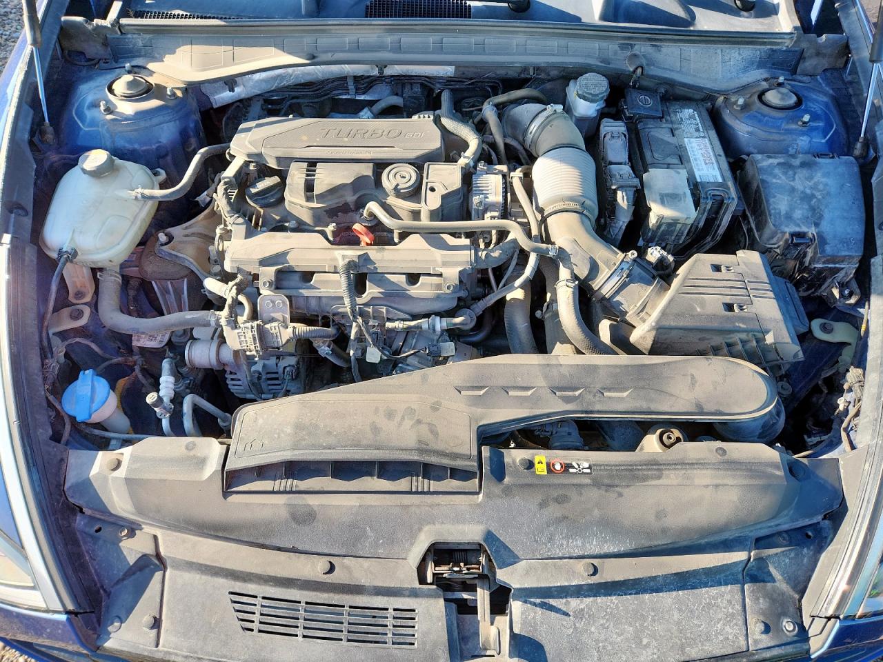 2020 Hyundai Sonata Limited VIN: 5NPEH4J28LH040517 Lot: 80696285