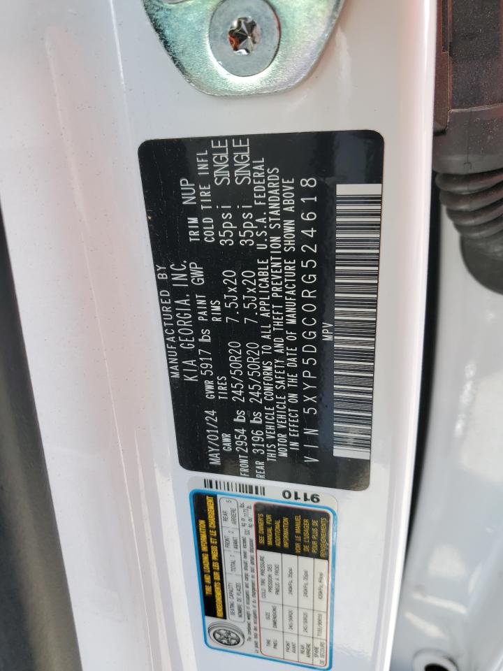 2024 Kia Telluride Sx VIN: 5XYP5DGC0RG524618 Lot: 81097905