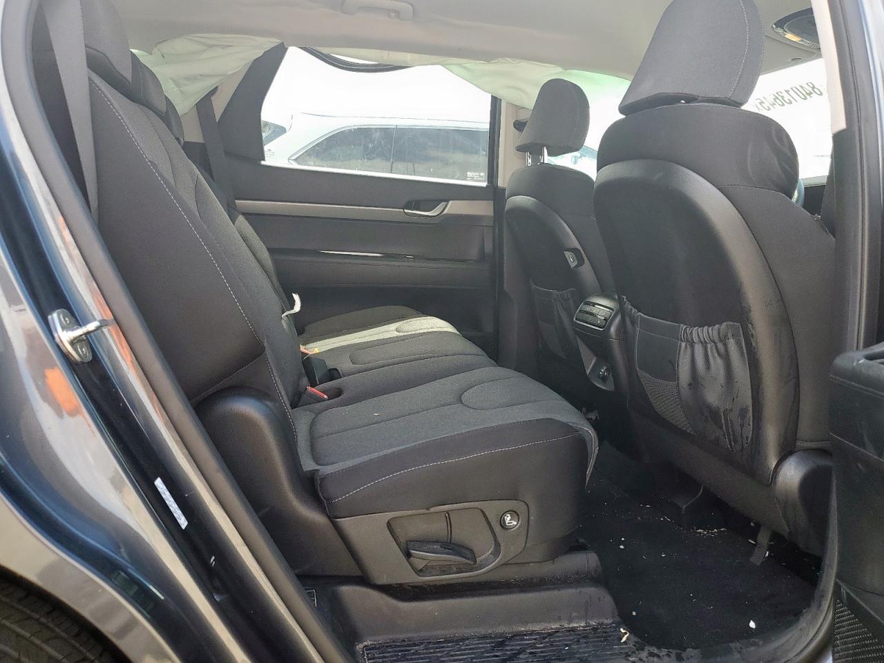 2020 Hyundai Palisade Se VIN: KM8R14HE1LU065086 Lot: 84013645