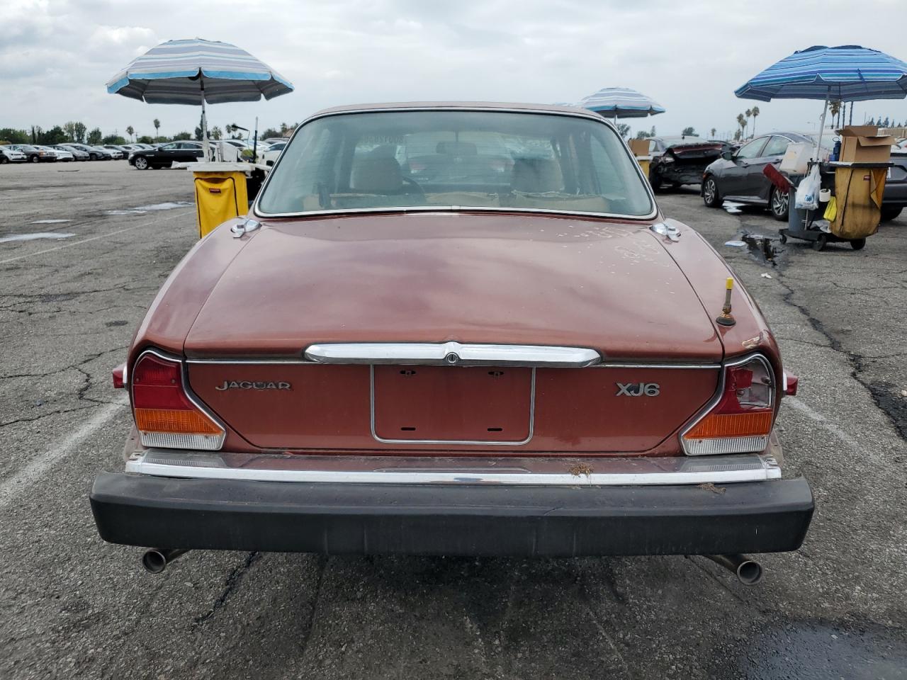 1983 Jaguar Xj6 VIN: SAJAV1348DC354846 Lot: 80012835