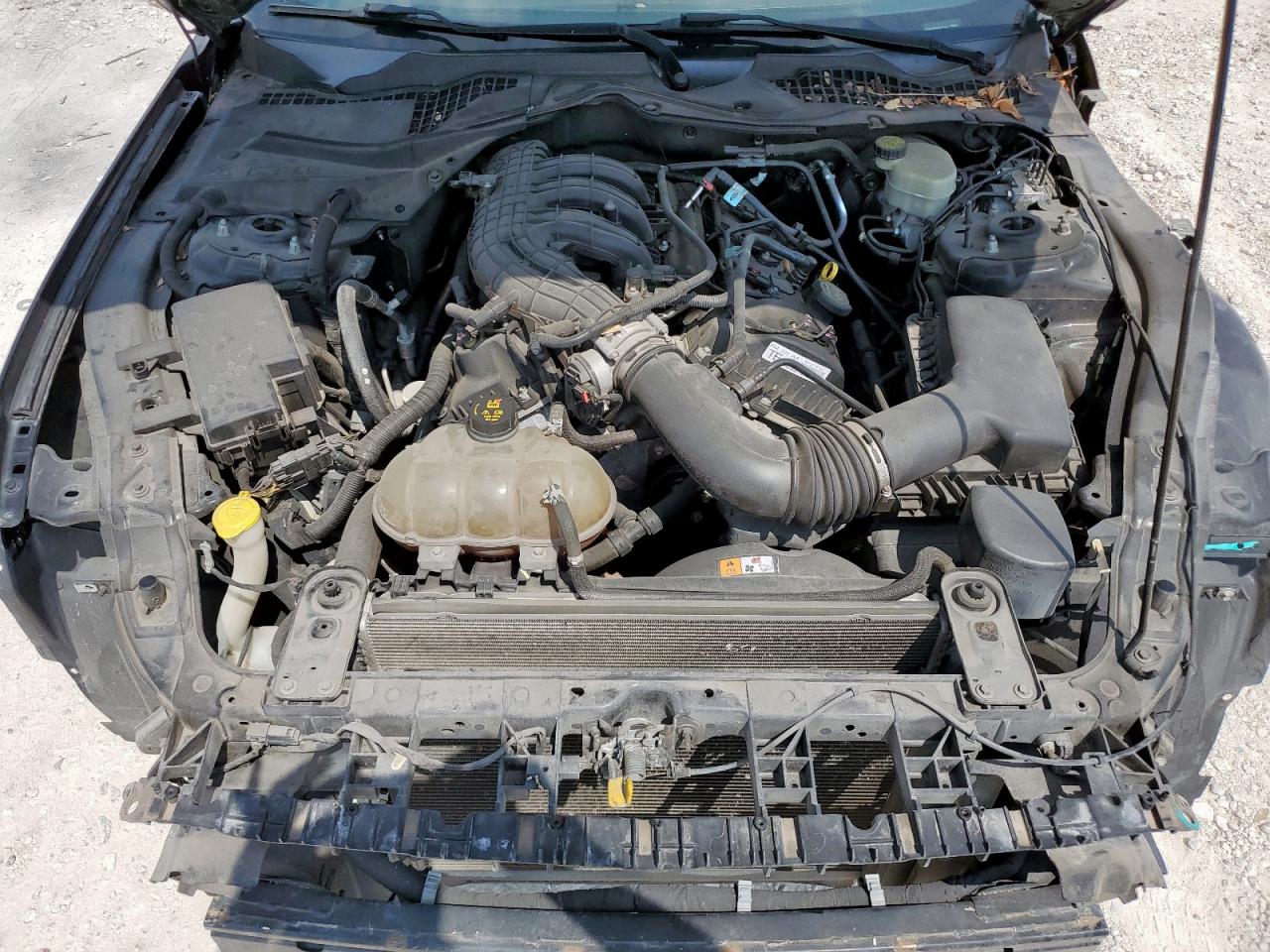 2015 Ford Mustang VIN: 1FA6P8AM9F5322093 Lot: 80484725