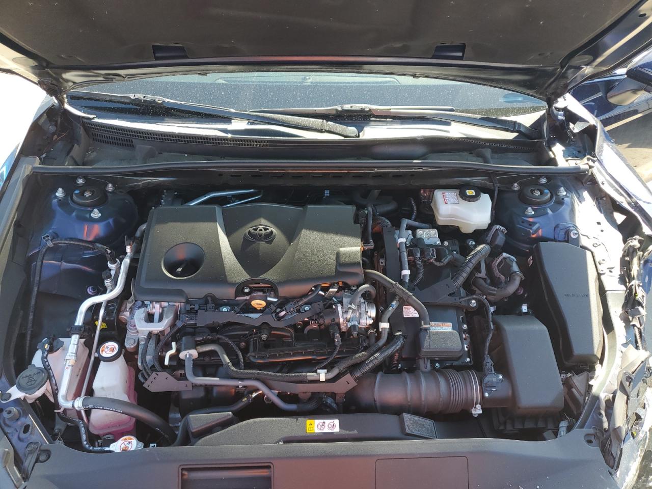 2022 Toyota Camry Night Shade VIN: 4T1S31AK5NU589208 Lot: 81809285