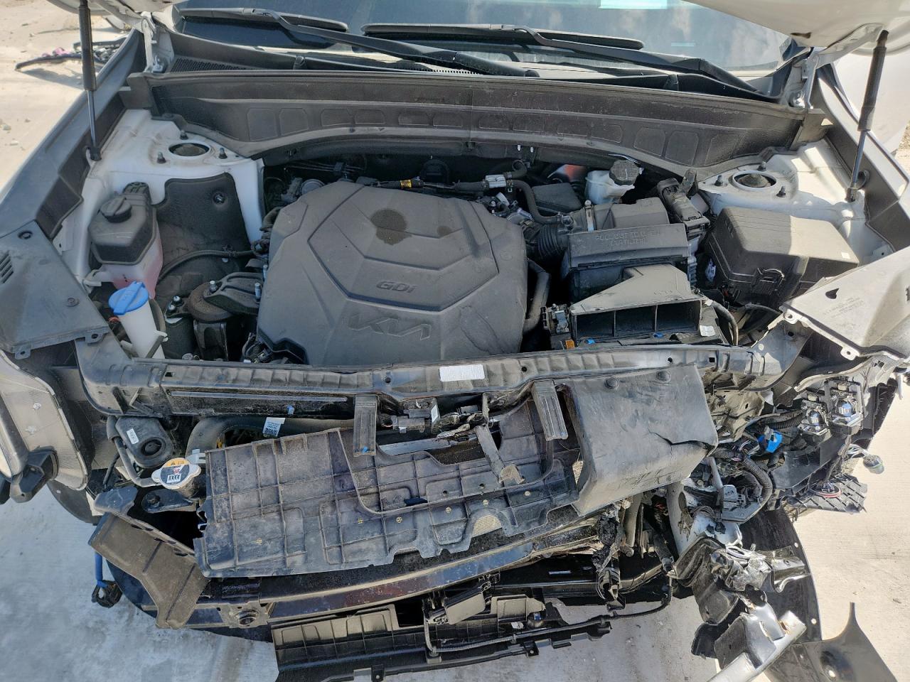 2024 Kia Telluride Sx VIN: 5XYP5DGC4RG539378 Lot: 82047025