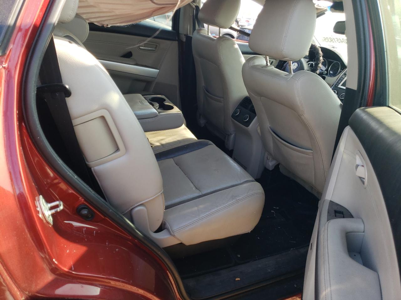 2009 Mazda Cx-9 VIN: JM3TB38A490173238 Lot: 80451935