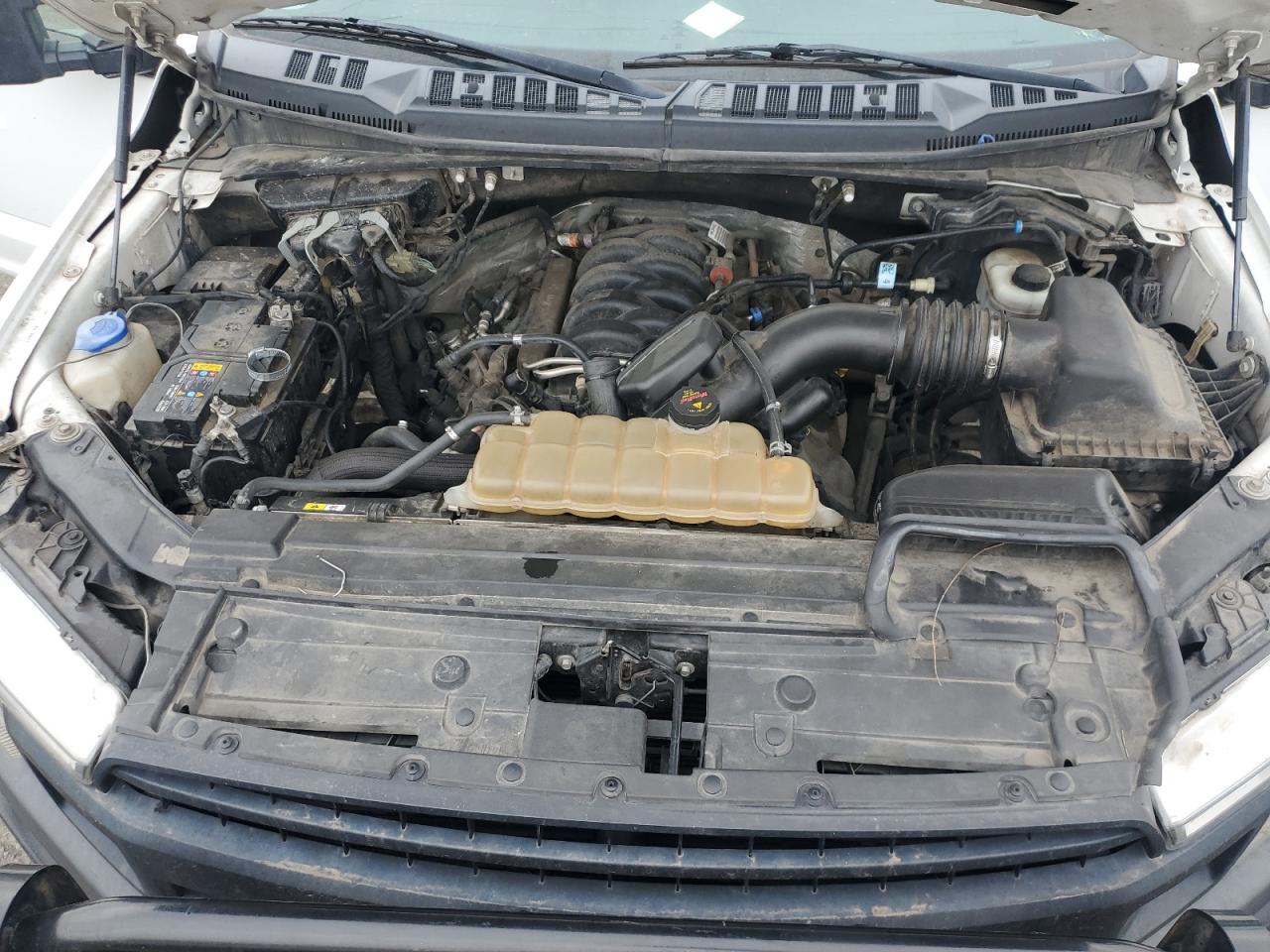 2019 Ford F150 Supercrew VIN: 1FTFW1E51KKE84822 Lot: 81347545