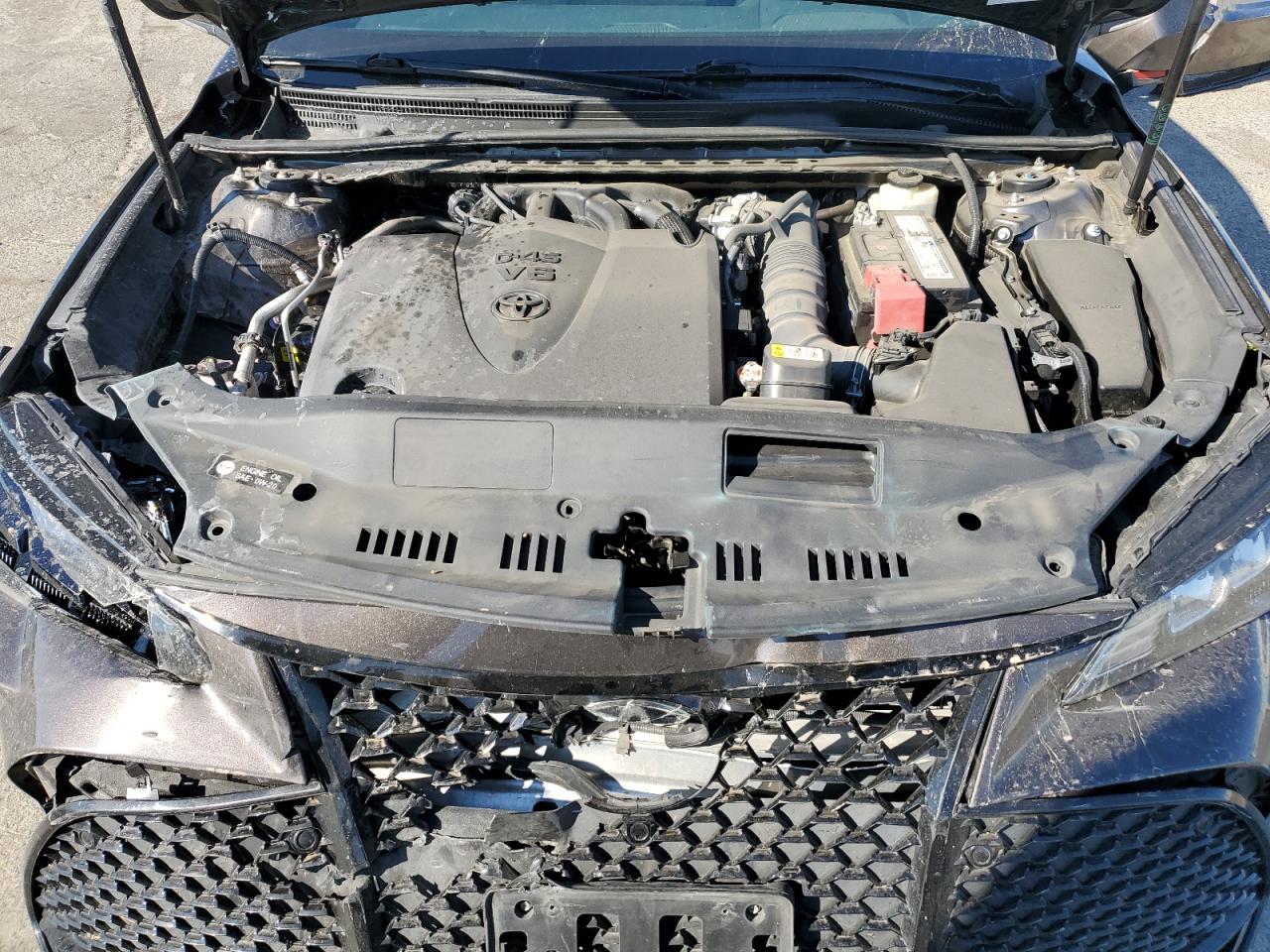 2019 Toyota Avalon Xle VIN: 4T1BZ1FB1KU010203 Lot: 81591555