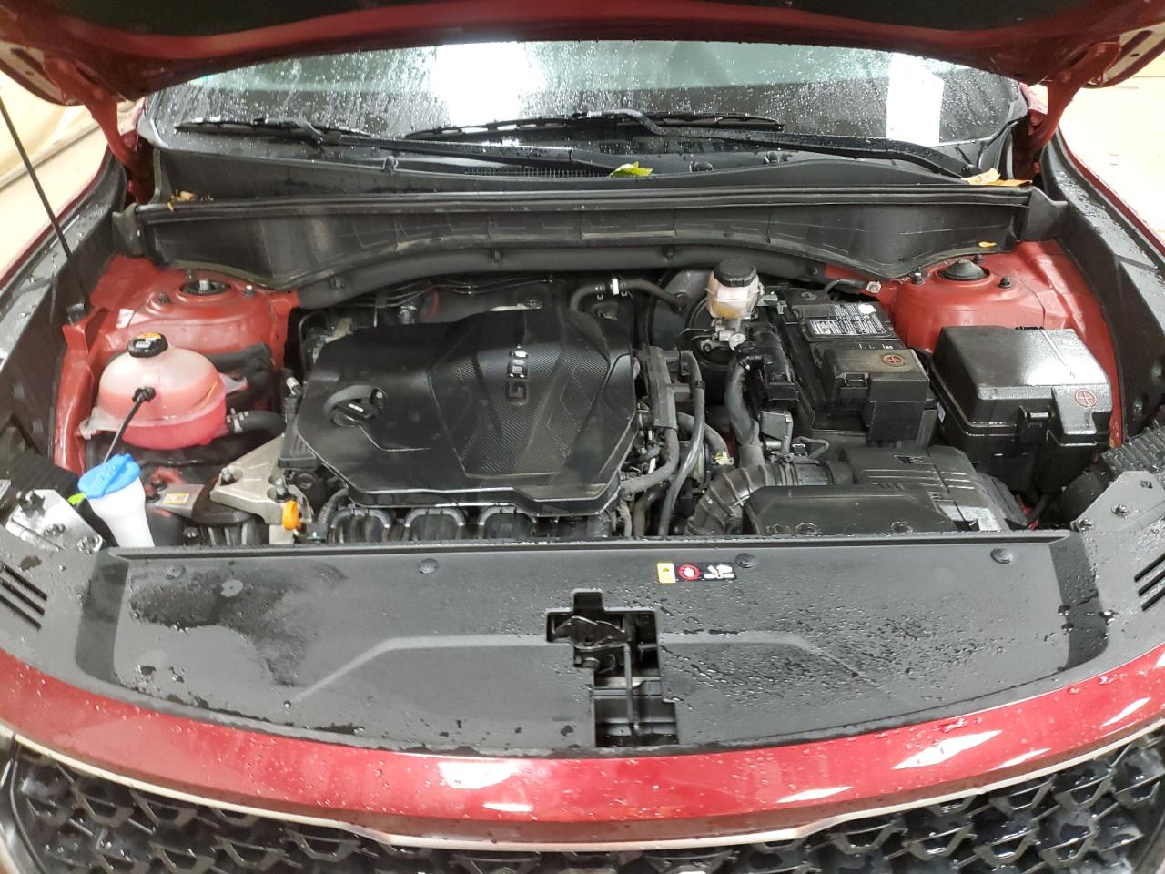 2023 Kia Sorento Lx VIN: 5XYRGDLC0PG188152 Lot: 83848715