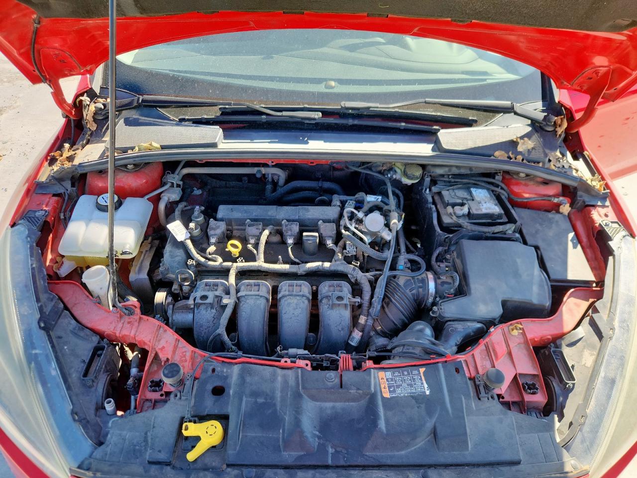 2016 Ford Focus Se VIN: 1FADP3K24GL339582 Lot: 82062965