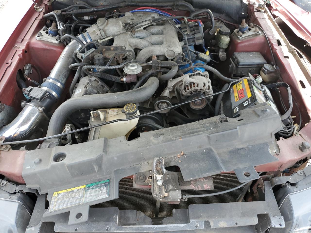 2003 Ford Mustang VIN: 1FAFP40493F325396 Lot: 84555065