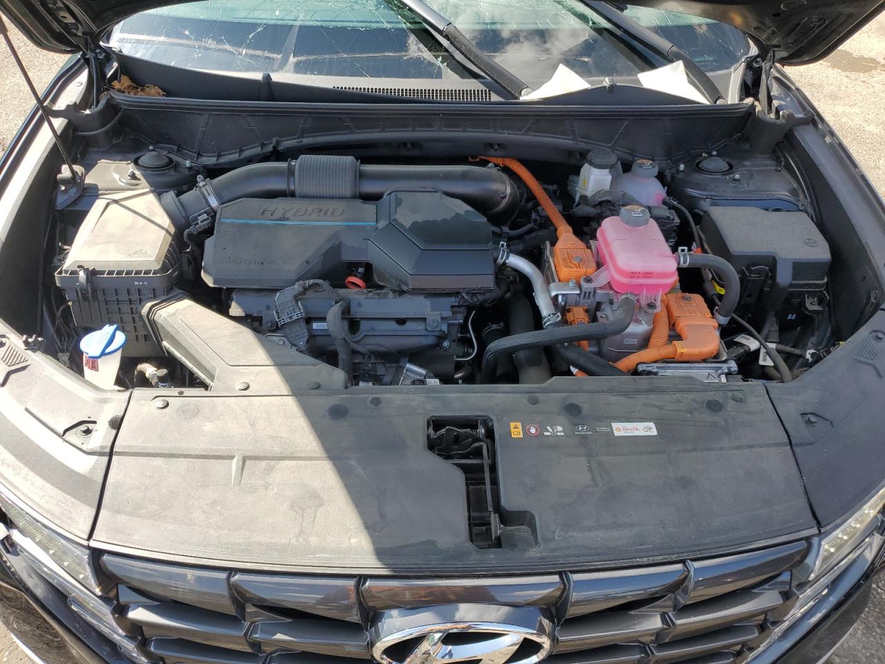 2024 Hyundai Tucson Sel Convenience VIN: KM8JCCD17RU204442 Lot: 81761035